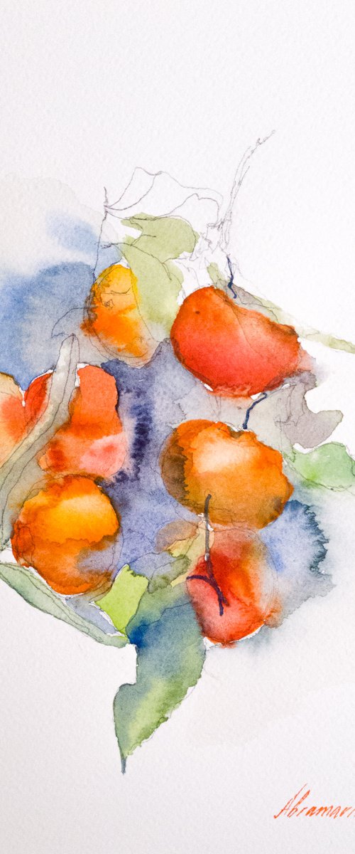 Tangerines.  Original watercolor picture. by Marina Abramova