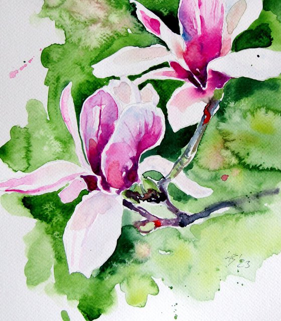 Beautiful magnolia