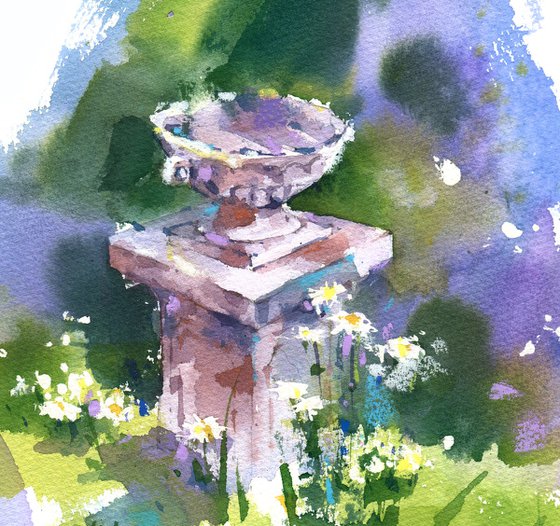 A field of daisies