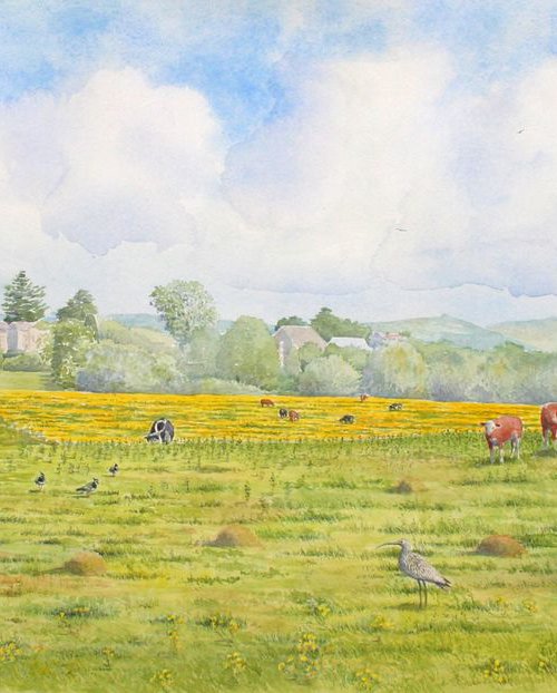Across the meadows to Bredon in Maytime by John Horton