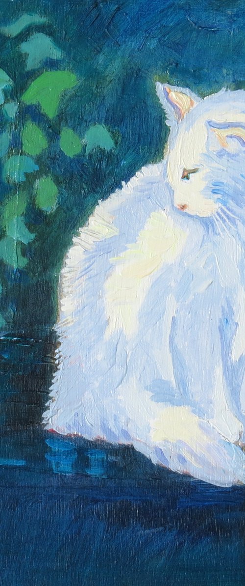 White Cat by Mary Kemp