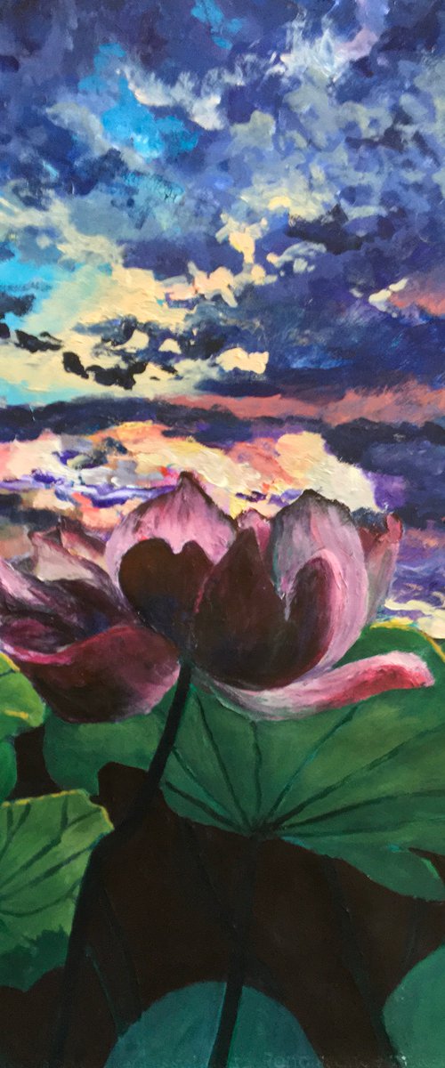 Lotus at sunset by John Cottee