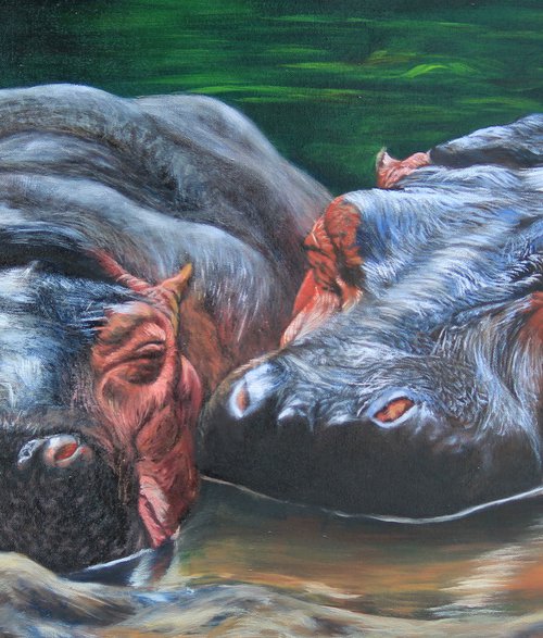 Sleeping hippos by Kristina Waddingham