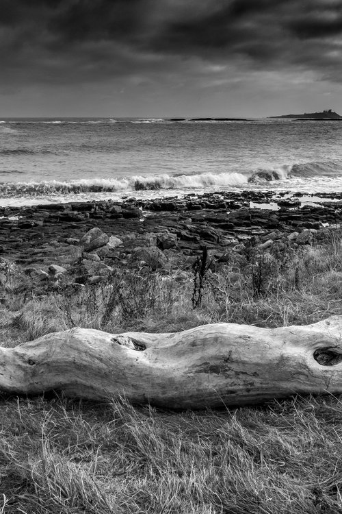 Driftwood at Low Newton on the Sea - Northumbria by Stephen Hodgetts Photography