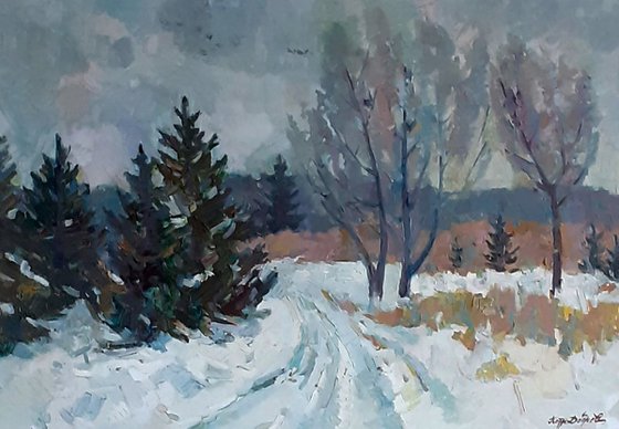 Christmas Trees Covered with Snow