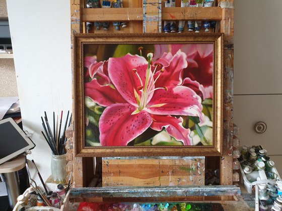 "Oh, lily ..."  pink red flower lily liGHt original painting  GIFT (2021)