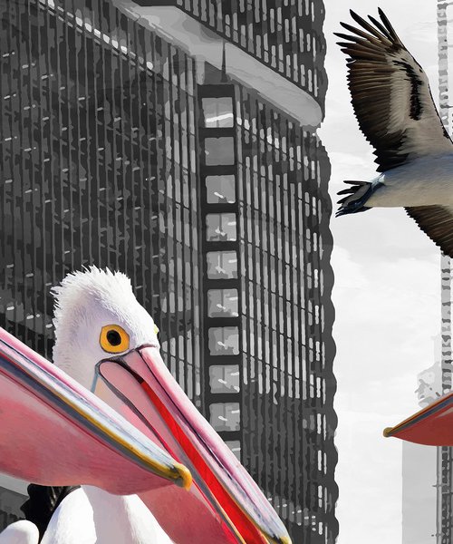 PELICANS IN THE CITY | DIGITAL PAINTING, EDITION OF 7 PIECES by Uwe Fehrmann