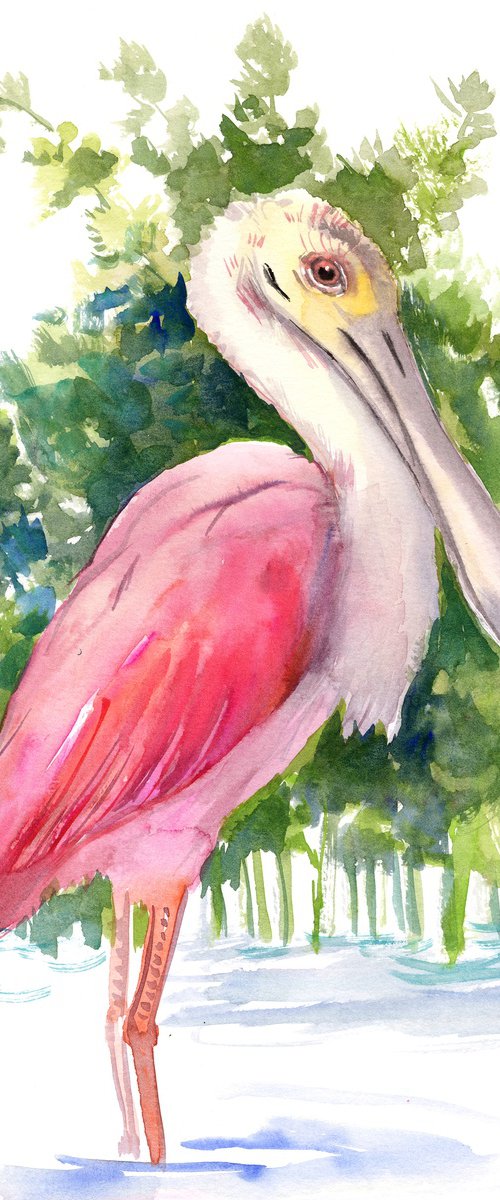 Roseate Spoonbill by Suren Nersisyan