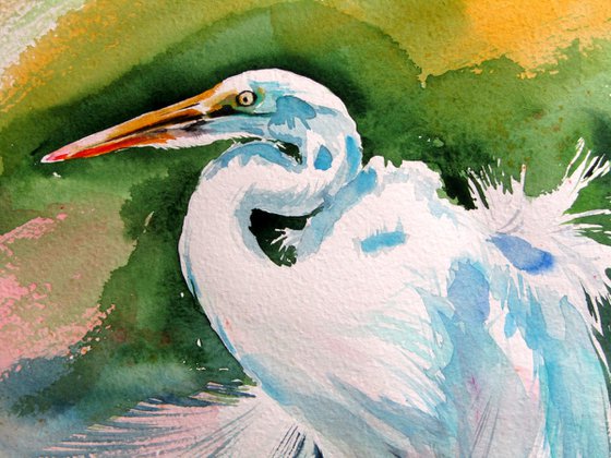 White heron