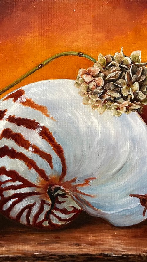The still life with a nautilus shell by Oleg Baulin