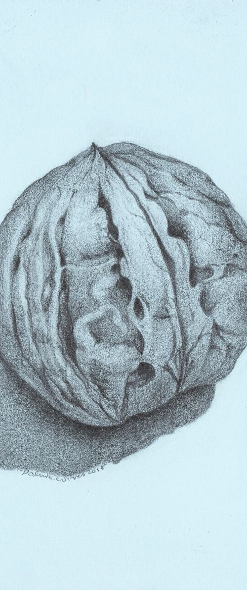 WALNUT by Nives Palmić