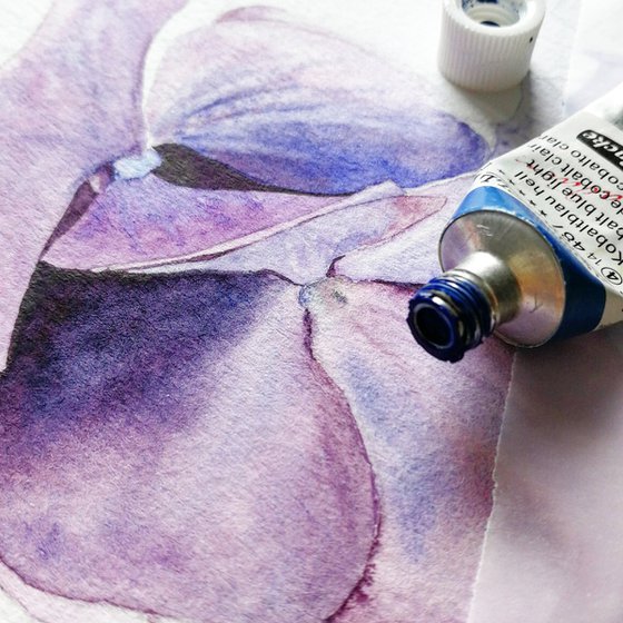 Violet Hydrangea