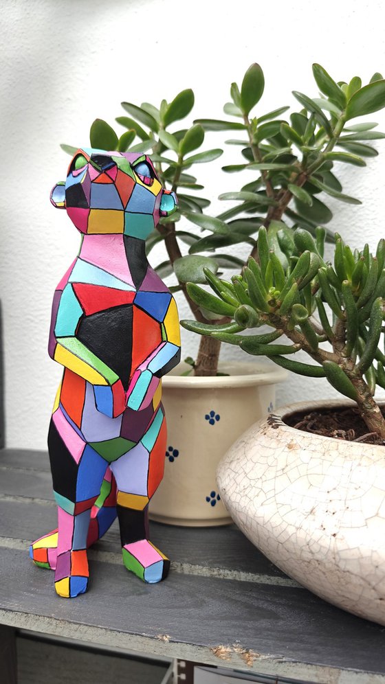 Meerkat