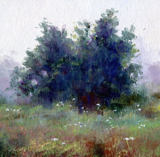 'Cloudy spring afternoon'