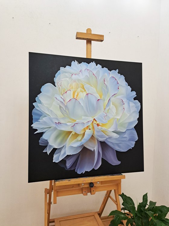 Scent of white peony
