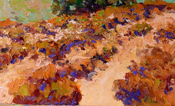California Foothills. Summer