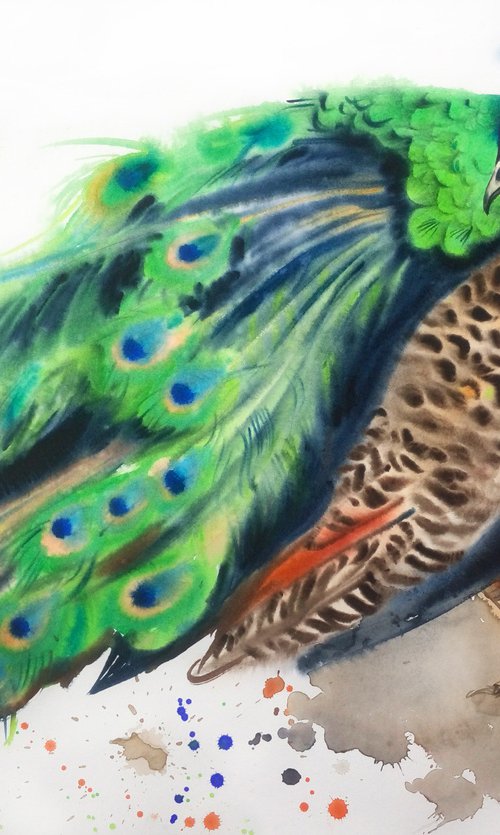 Precious Peacock by Olga Beliaeva Watercolour