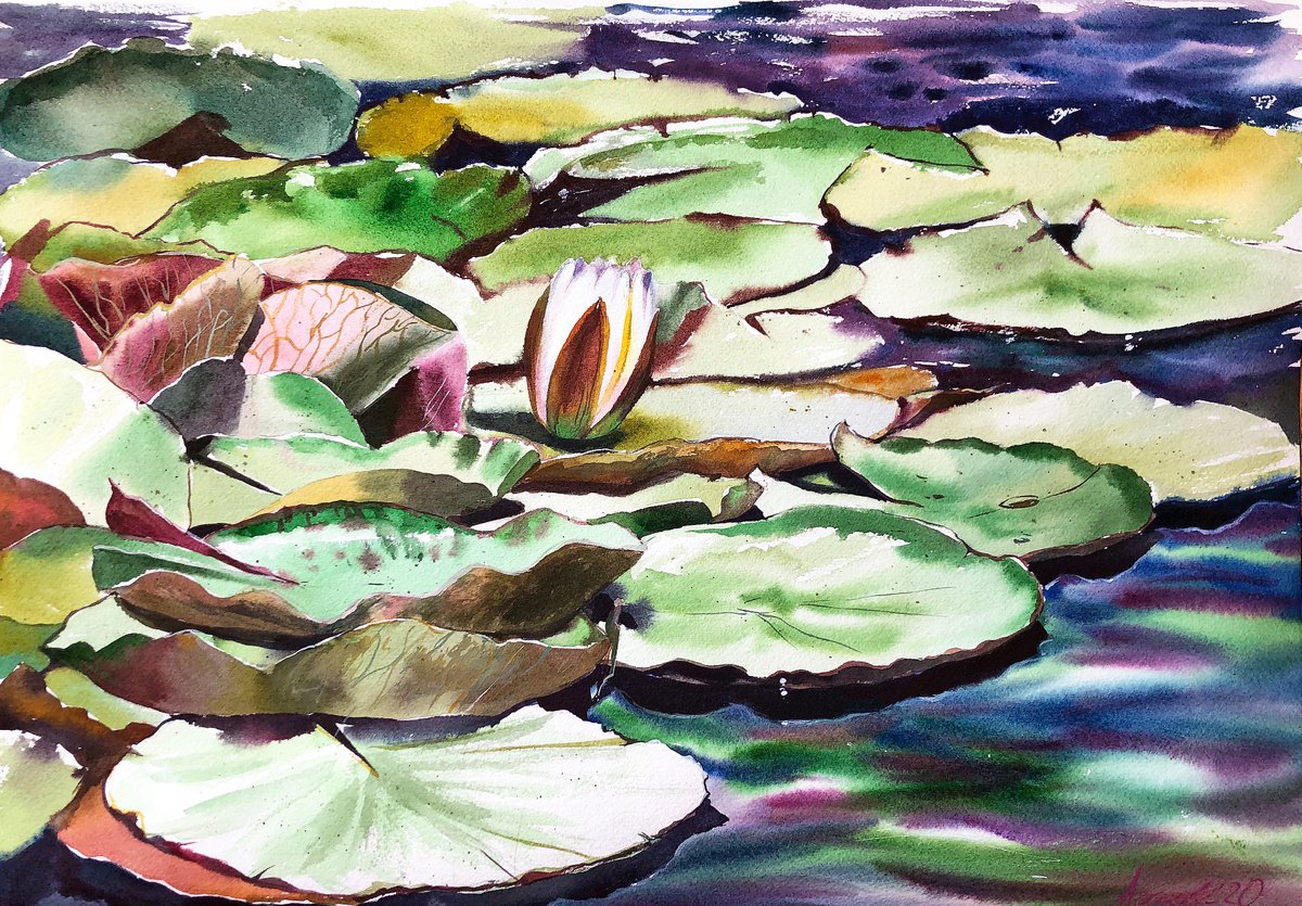 Impressionistic Botanical Watercolour By Ksenia Astakhova, 20 X 14", Water Lilies From Geneva, Original Artwork
