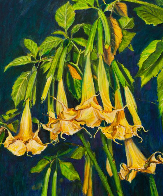 Angels Trumpets II