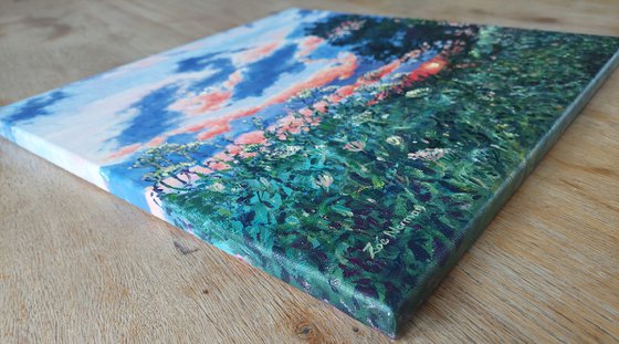 Evening Light - Sunset