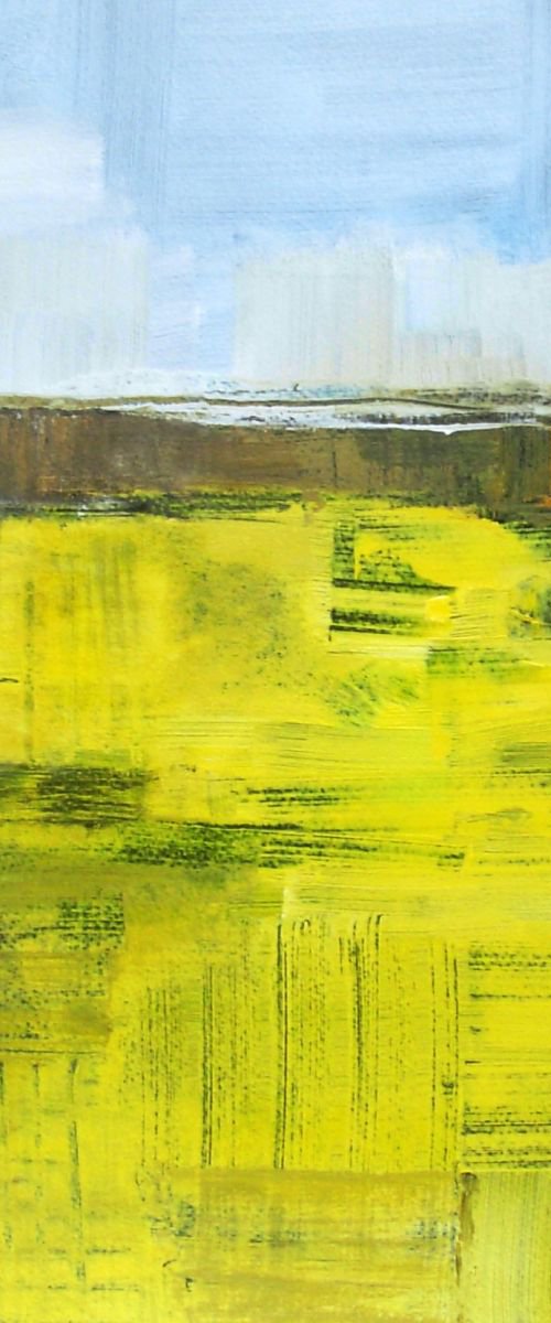 Rapeseed 3 by Jan Rippingham