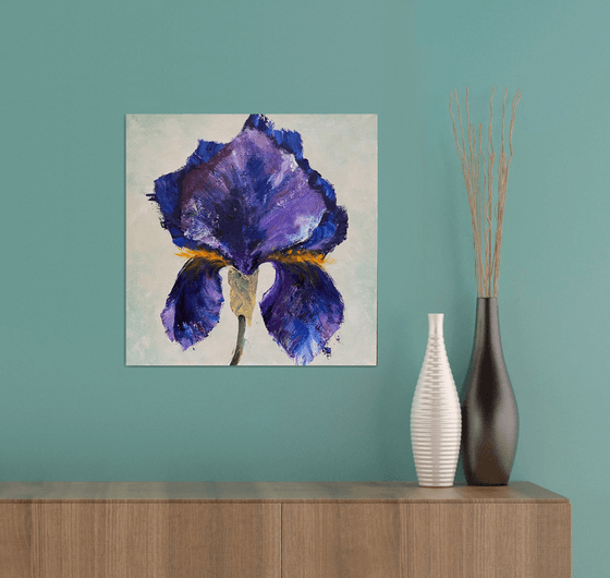 DARK BLUE IRIS