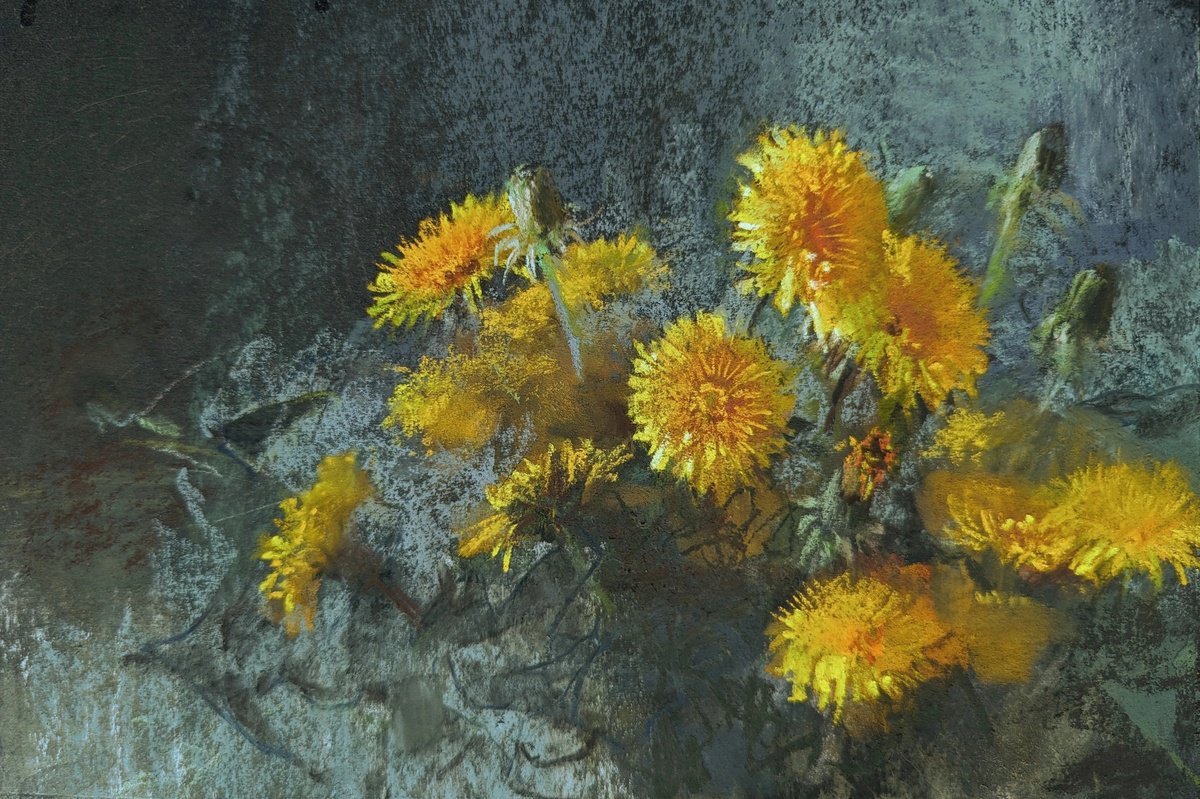 Dandelions 2`24 by Silja Salmistu