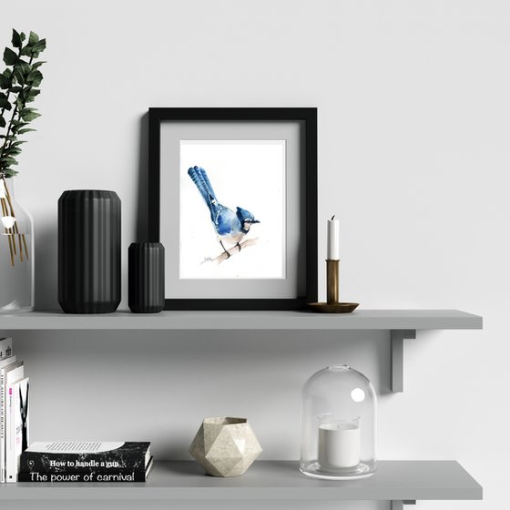 Blue jay birds watercolor painting 2 set