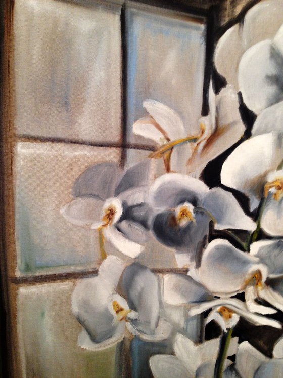 Orchids in an  interior - original oil on canvas - large size  80 x 80 cm (32' x 32 ' )