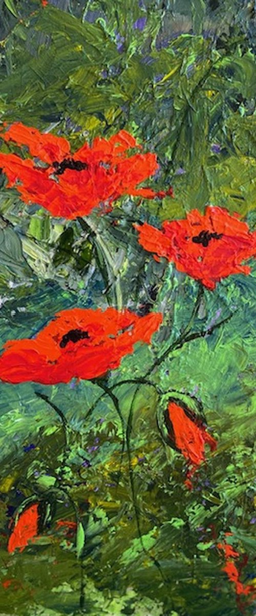 POPPIES by BARBARA  HARLOW