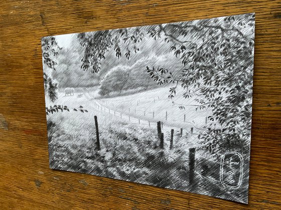 Elysian Fields – 15-09-25