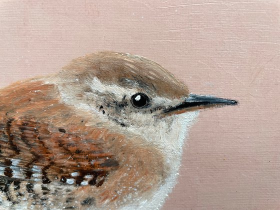 Jenny Wren II