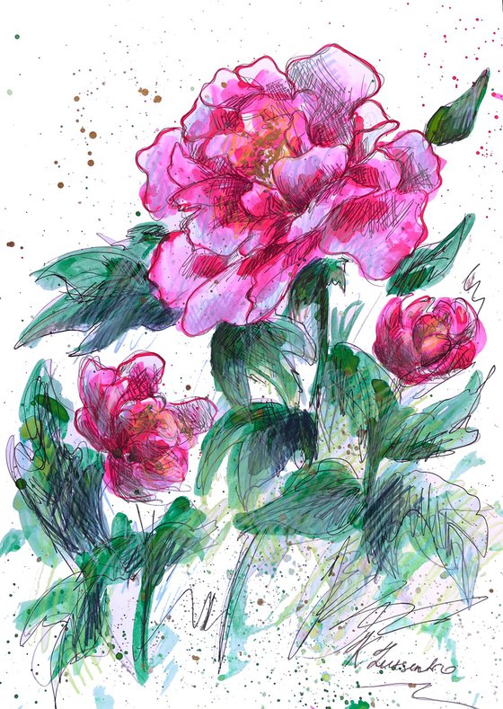 VELVET PEONY