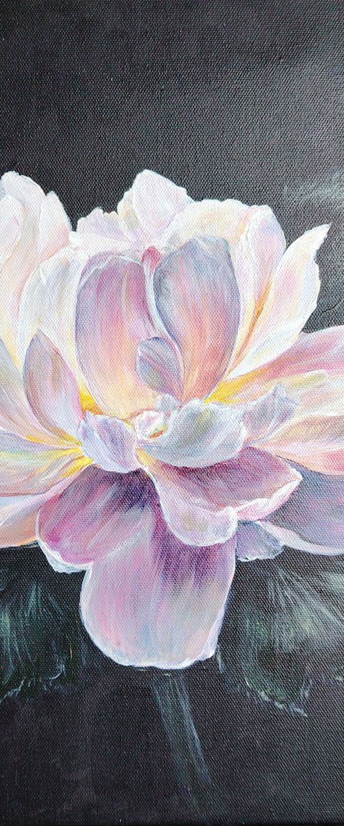 Whisper of Luminescent Peony. by Elena Pertceva