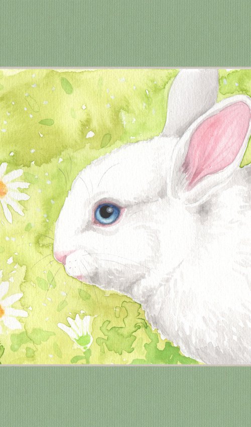 Bunny 6 by Jolanta Czarnecka