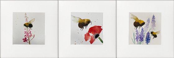 Three Countryside rural scenes