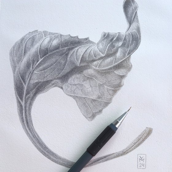 Dried Leaf