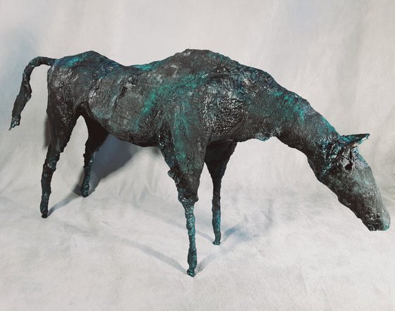 Equus