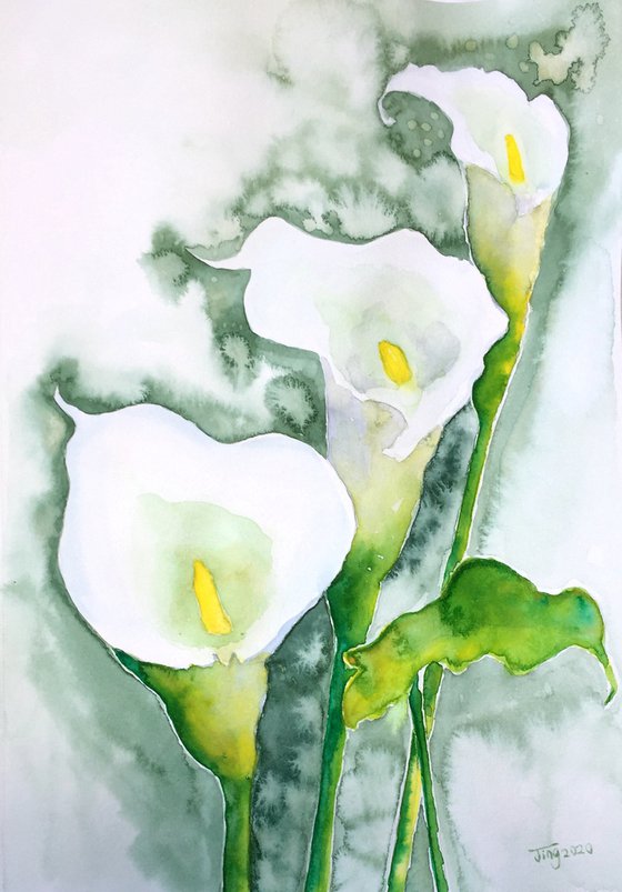 Calla lily