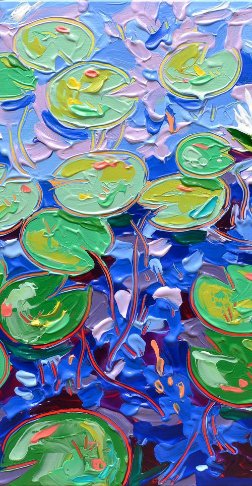 Tasman Lily Pond 24 by Joseph Villanueva