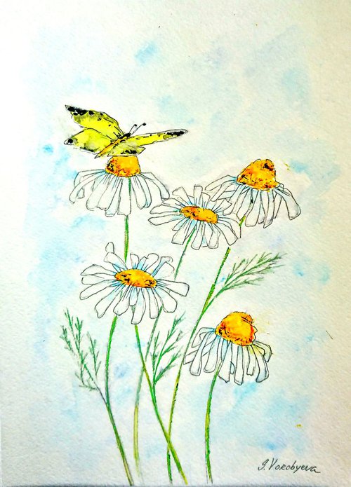 Daisies and Butterfly by Svetlana Vorobyeva