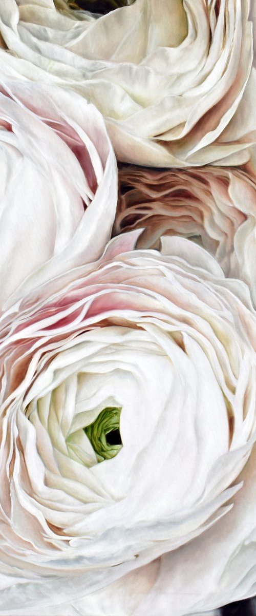 Square oil painting by Ivlieva Irina Ranunculus 100x100 cm by Irina Ivlieva