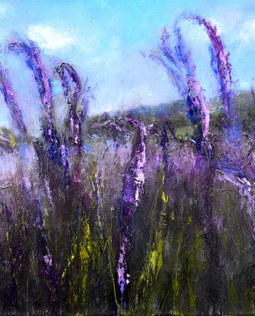 Lavender Field by Elena Lukina