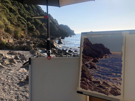 La Spiaggia di Calamoresca