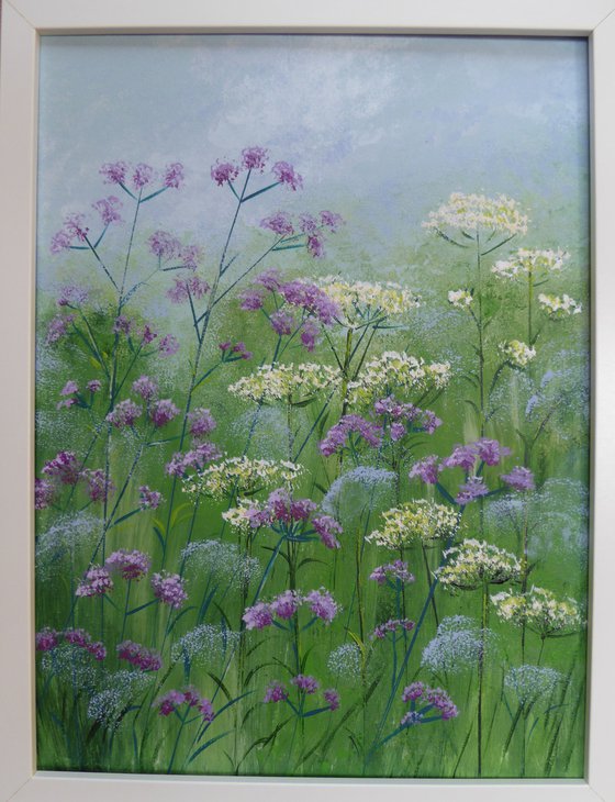 Verbena and Cow Parsley