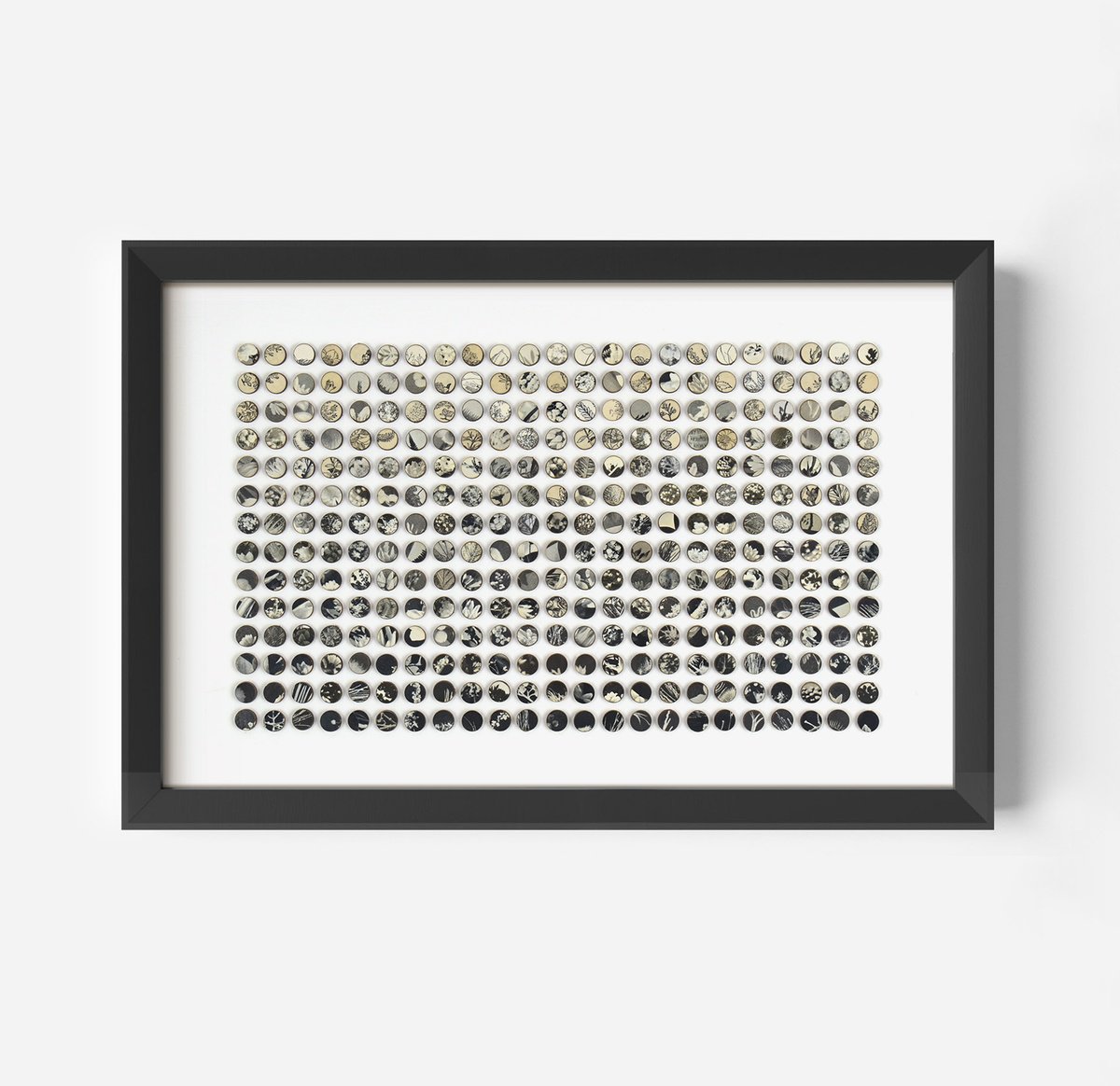 322 Monochrome Botanical Dots by Amelia Coward