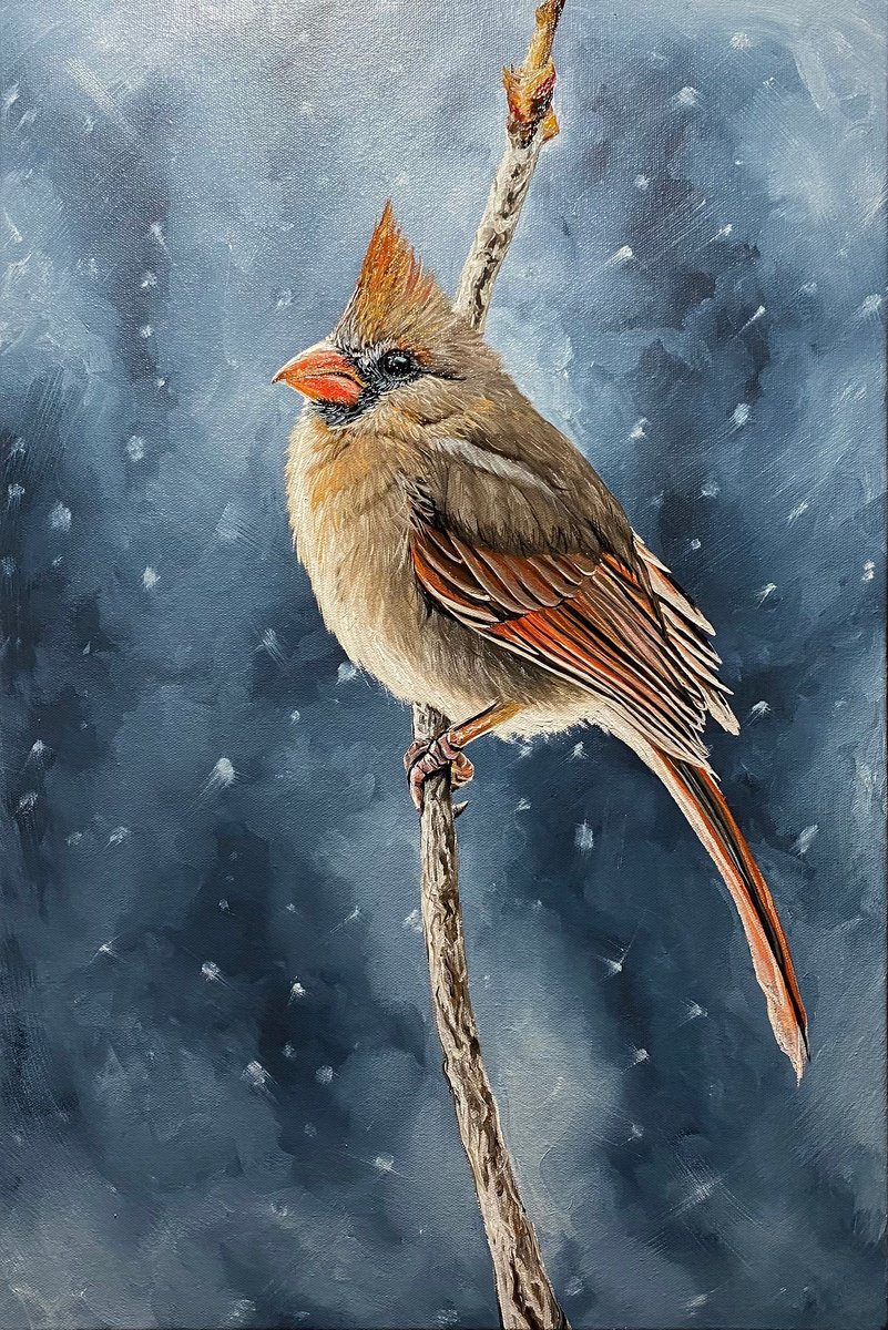 Winter morning ( Cardinal bird) by Elena Adele Dmitrenko