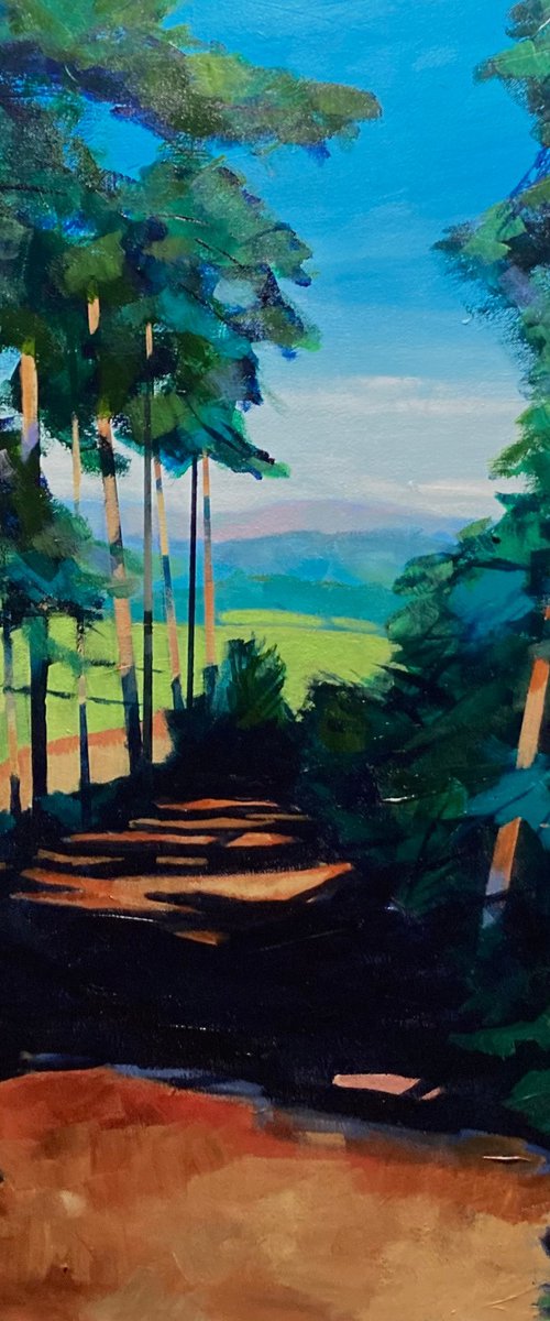 Top Path at Kinsley woods by Stuart Roper