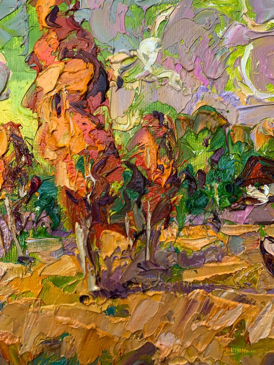 The Cows Are Grazing