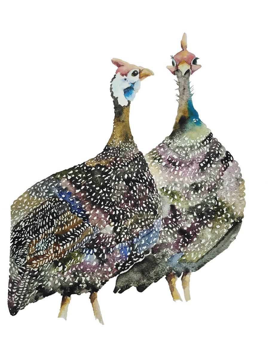 Guinea Fowl Birds, watercolor illustration by Tanya Amos